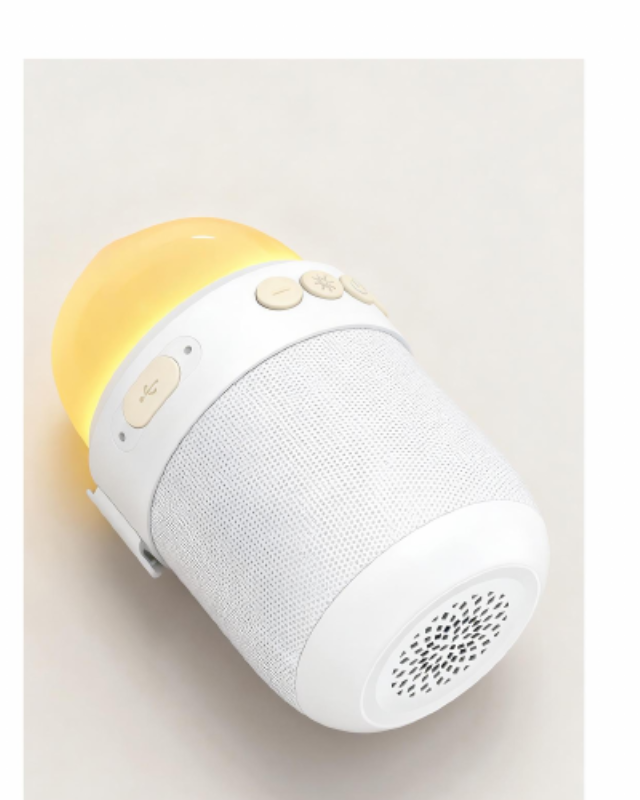 B010 Speaker